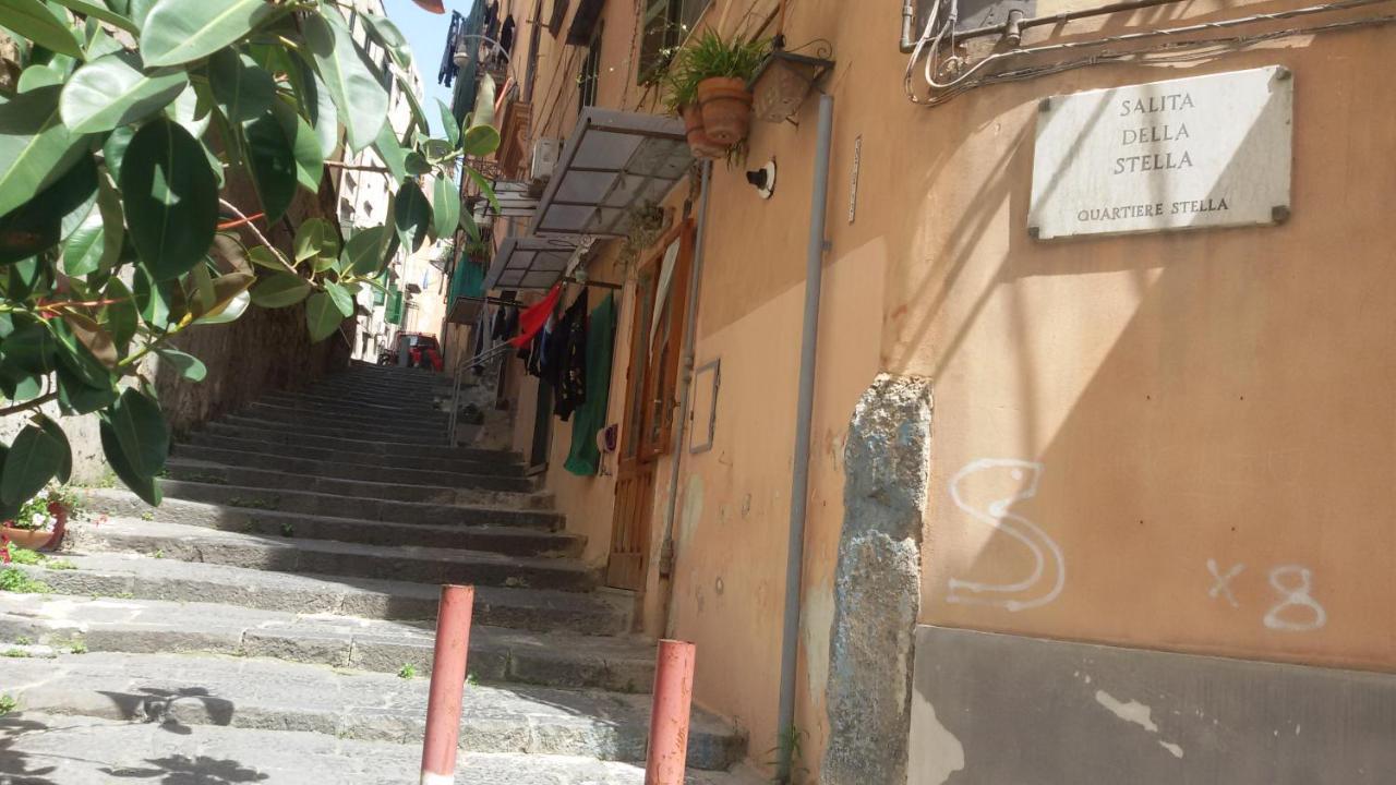 Bed & Breakfast Domusrealstella 2*